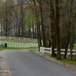 L’impact de l’intelligence artificielle sur les métiers du web