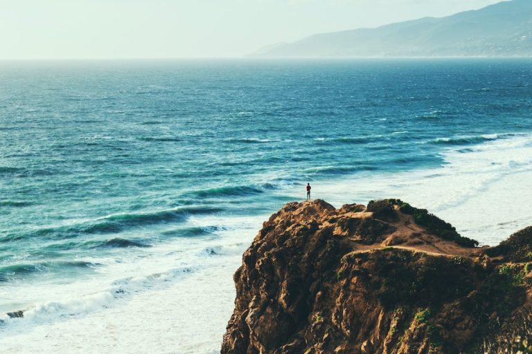 SEO, SEA ou SEM : Quelles différences et que choisir ?