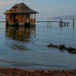 Comment se former au référencement web (SEO) ?